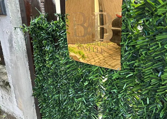 B&B Caselle